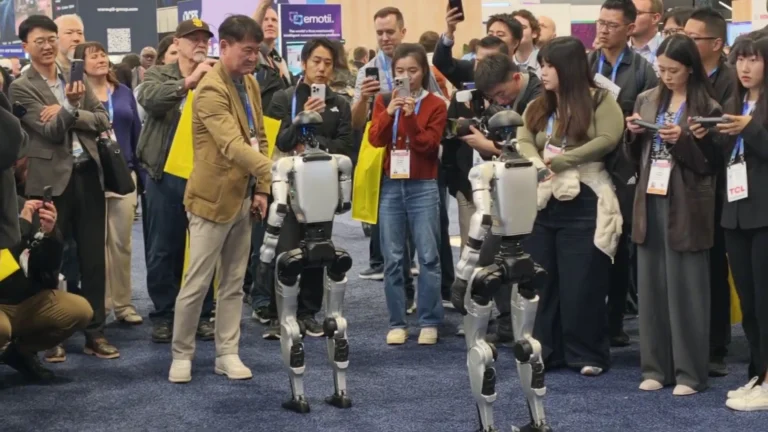 Buy Humanoid Robot Direct from China: Risks and Reality