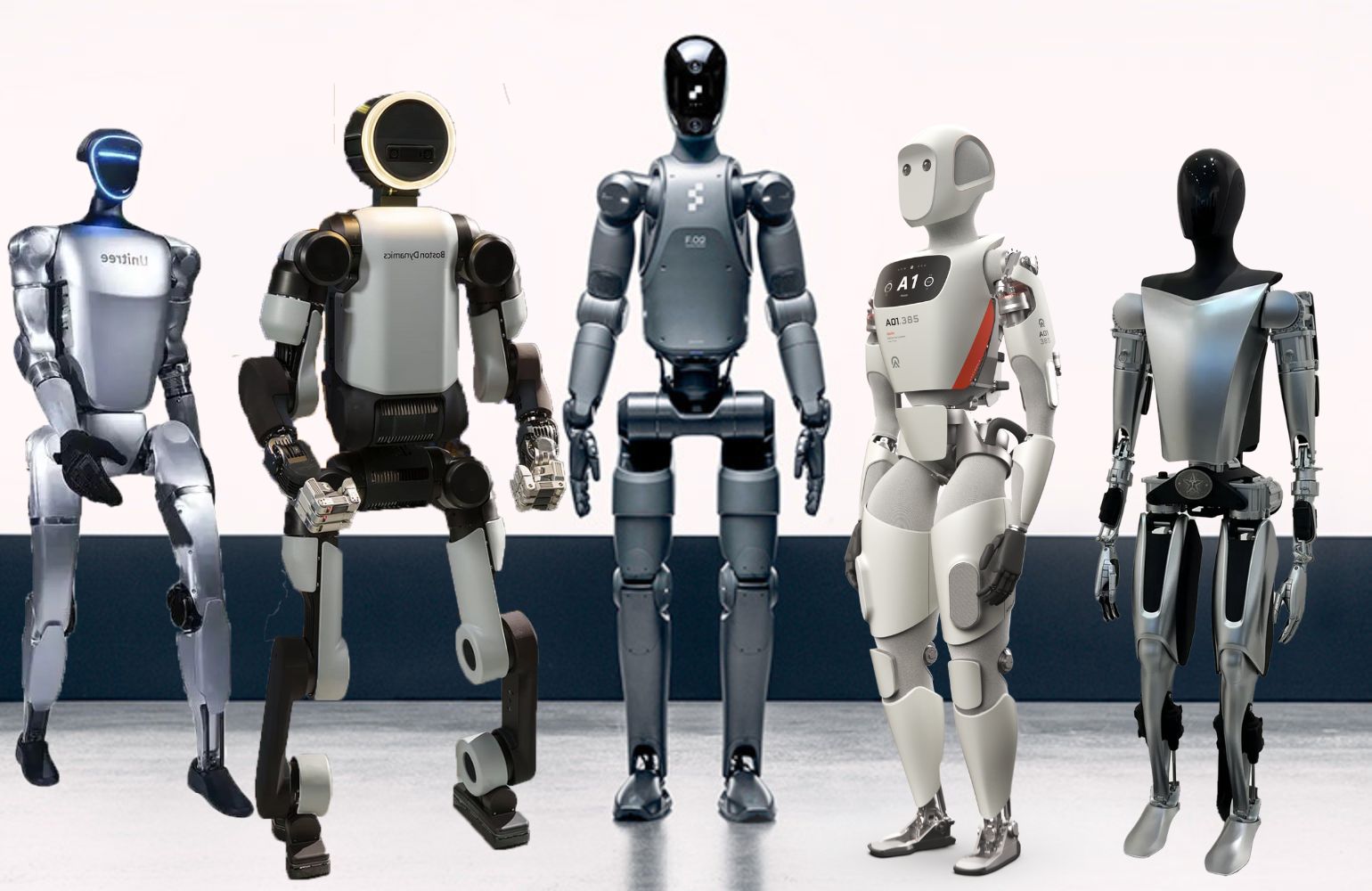 Multiple humanoid robot models from leading manufacturers - when buying a humanoid makes sense for high-volume use