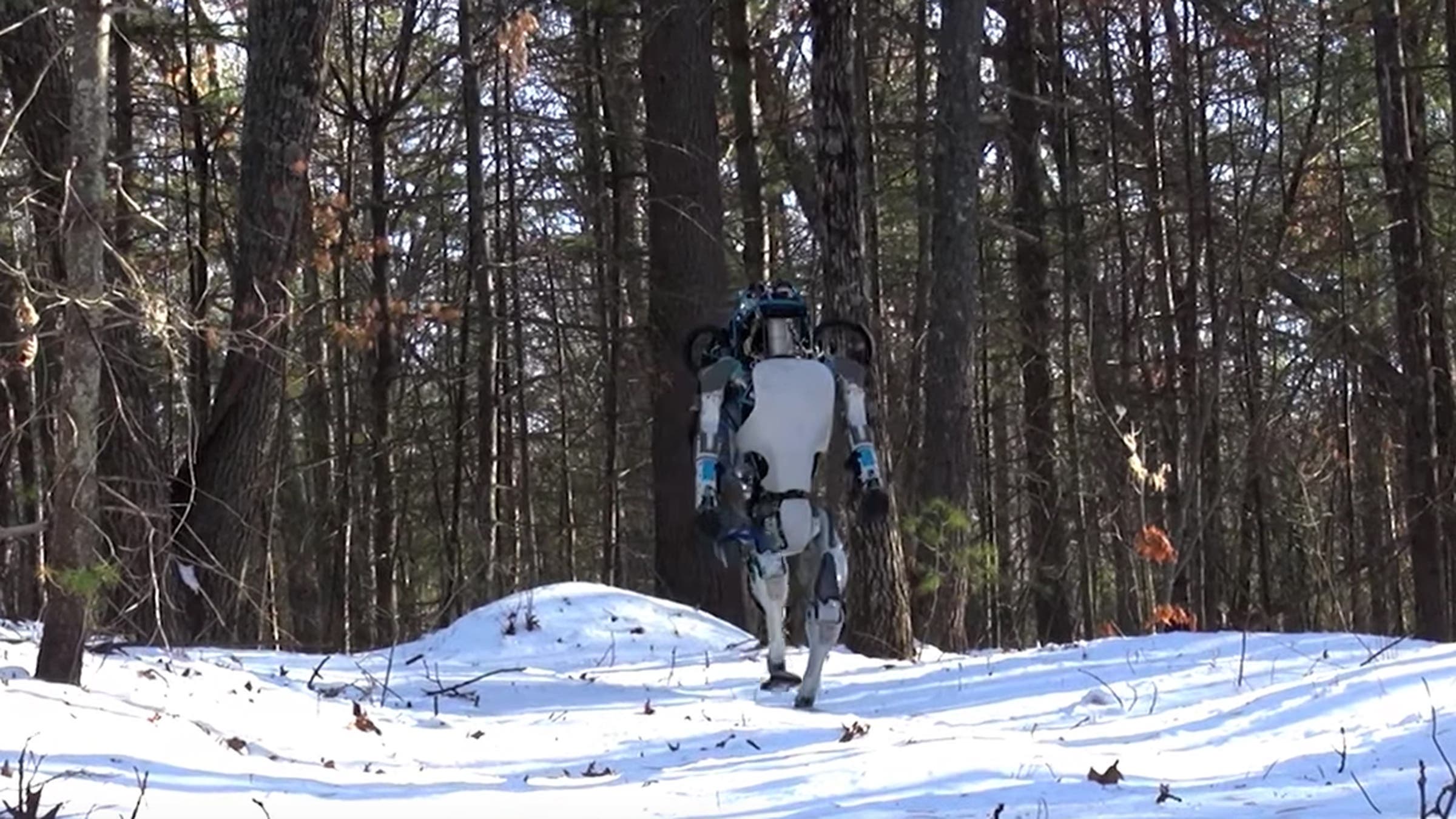 Boston Dynamics Atlas humanoid robot walking - one foot at a time controlled fall